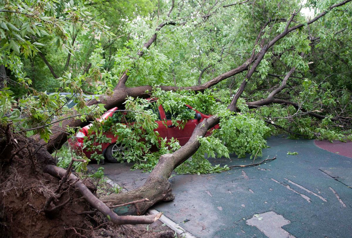 A tree, which was uprooted by a heavy storm and fell down on a car, in Moscow, Russia on May 29, 2017. (REUTERS/Andrey Kuzmin)
