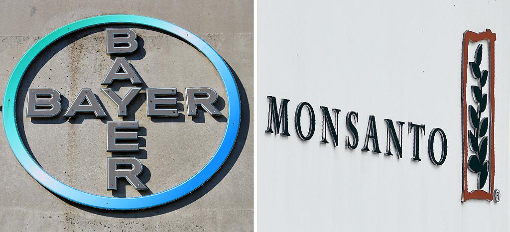 (COMBO) This combination of file pictures created on September 14, 2016 shows the logo of German pharmaceutical giant Bayer (L, on September 8, 2016 in Leverkusen) and the logo of Monsanto at it's Belgian manufacturing site and operations centrer on May 24, 2016 in Lillo near Antwerp. (PATRIK STOLLARZ,JOHN THYS/AFP/Getty Images)