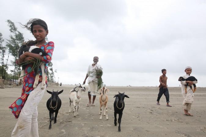 Villagers and their livestock evacuate to a storm shelter on the coast in Cox's Bazar district in Bangladesh on May 30, 2017. Cyclone Mora hit Bangladesh on May 30, packing winds of up to 135 kilometres (84 miles) per hour, damaging thousands of homes. (-/AFP/Getty Images)