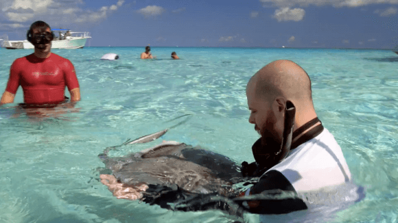 Sean Moore with a stingray during the Force Blue trip to Cayman Islands in May 2017. (Working Pictures)