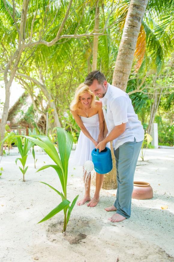 The newlyweds plant a coconut palm. (Muha Photos)