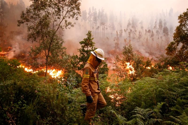 A firefighter works to put out a forest fire near the village of Fato, central Portugal on June 18, 2017. (REUTERS/Rafael Marchante)