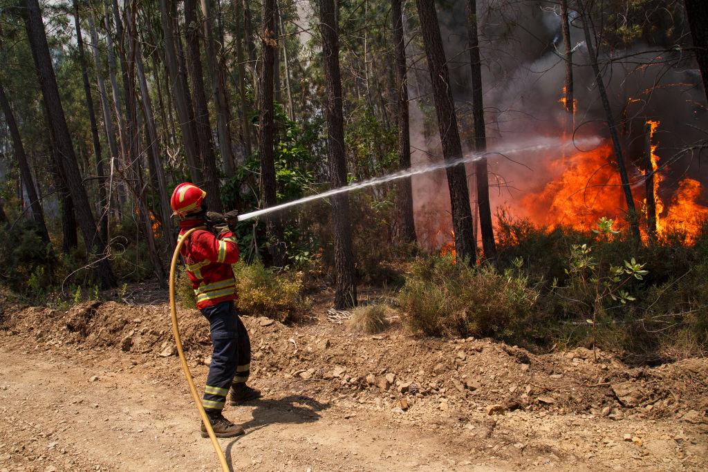 A firefighter battles a fire after a wildfire took dozens of lives on June 20, 2017 in near Picha, in Leiria district, Portugal. (Pablo Blazquez Dominguez/Getty Images)