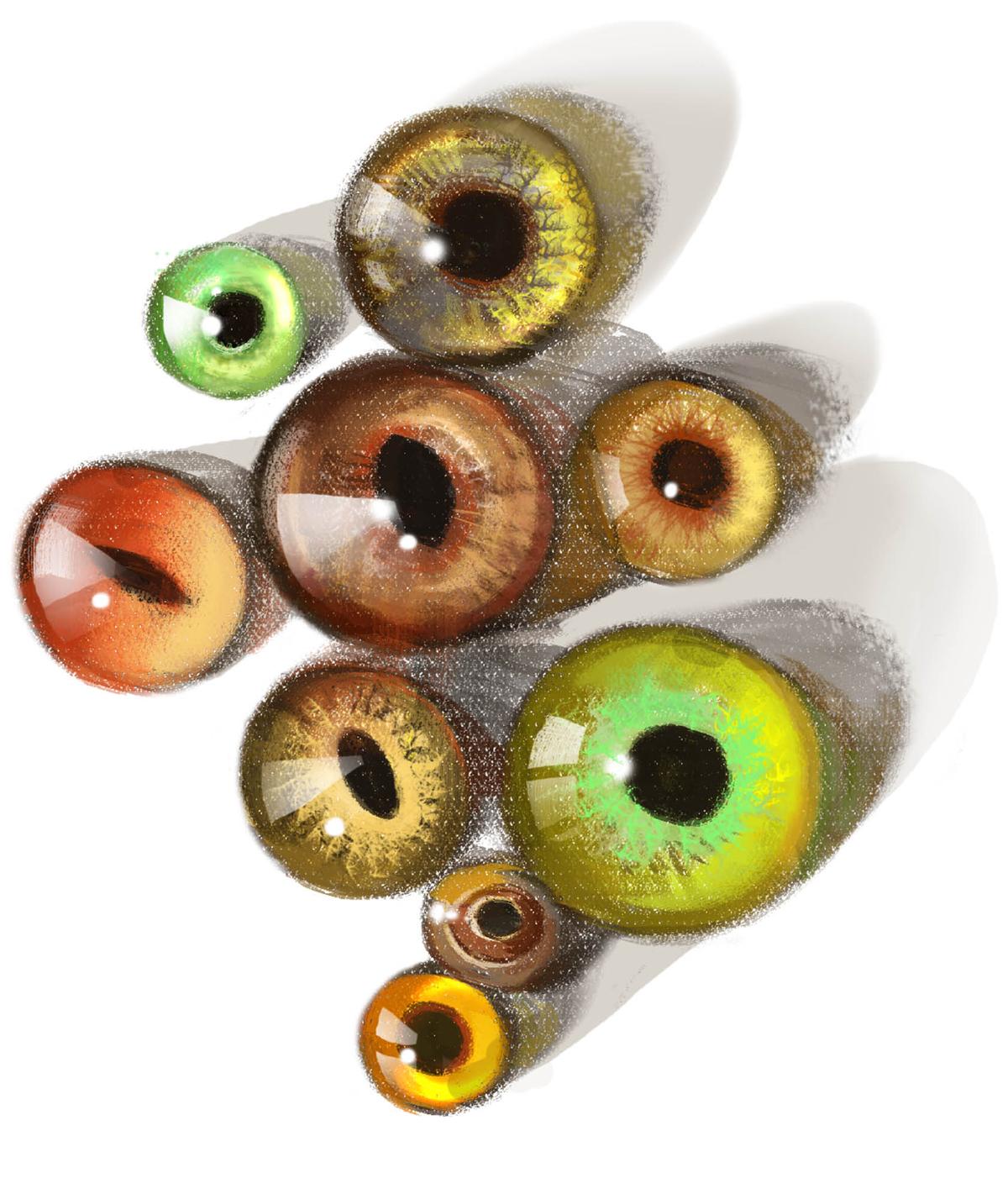 Tohickon Glass Eyes produces anything from deer eyes to bird, fish, and crocodile eyes, in its small Pennsylvania factory.