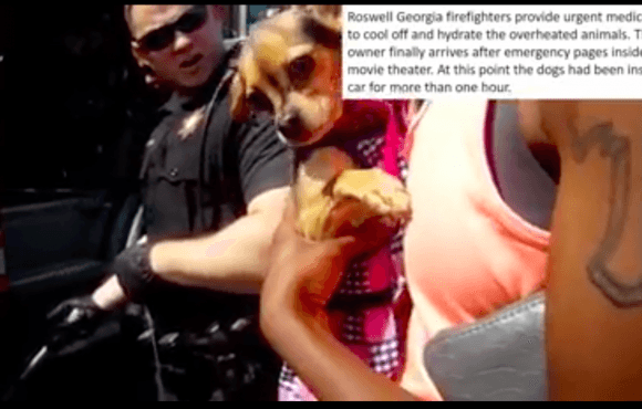 A dog rescued from a hot car in Georgia on July 2, 2017 being held by what appears to be his owner in bodycam footage released by the Roswell City Police Department. (Courtesy of Roswell City Police).