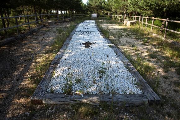 A mass grave were found in 2010 the remains of the bodies of those killed by forces of the dictator Francisco Franco in 1936 is seen in the area known as La Pedraja, Burgos, Spain, June 23. (Reuters/Juan Medina)