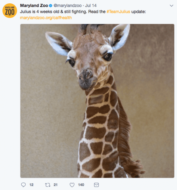 screen-shot-2017-07-17-at-12-13-07-pm