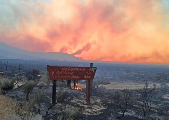 Charred grasslands remain after the Long Valley fire came through the Fort Sage Off-Highway Vehicle Area. (Bureau of Land Management California/via Reuters)