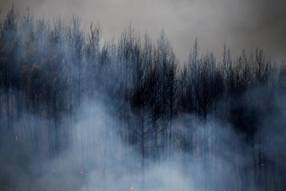 Smoke rises from burned trees during a wildfire near the village of Metochi, north of Athens, Greece, August 14, 2017. (Reuters/Alkis Konstantinidis)