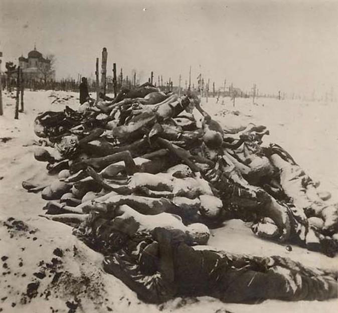 Piled up at the local cemetary, hundreds of corpses (Red Cross)