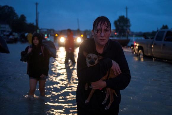 A woman holds her dog as she arrives to high ground after evacuating her home along Tidwell Road in east Houston. (REUTERS/Adrees Latif)