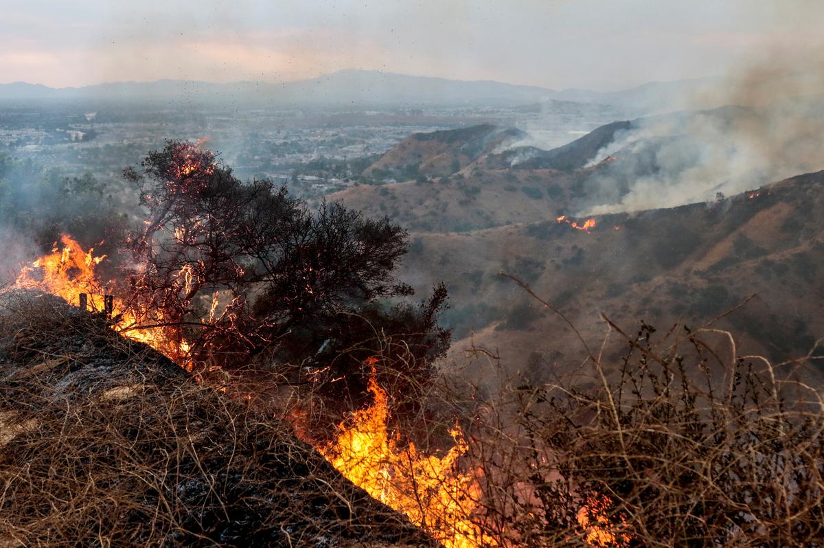 Flames above houses in Sun Valley during the La Tuna Canyon fire over Burbank. (REUTERS/ Kyle Grillot)