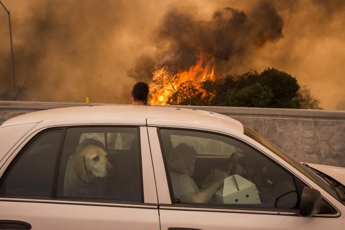 Residents try to see if their house on the other side of the flames might burn during La Tuna Fire near Burbank, Calif., on Sept. 2, 2017. Officials believe the fire, which is at 5,000 acres and growing, is the largest fire ever in L.A. (David McNew/Getty Images)