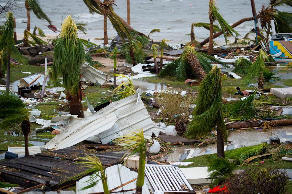 A photo taken on September 6, 2017 shows destroyed palm trees, outside the "Mercure" hotel in Marigot, on the Bay of Nettle, on the island of Saint-Martin in the northeast Caribbean, after the passage of Hurricane Irma. (LIONEL CHAMOISEAU/AFP/Getty Images)