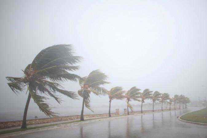 Palm trees sway in the wind prior to the arrival of the Hurricane Irma in Caibarien, Cuba, on September 8, 2017. (Reuters/Alexandre Meneghini)