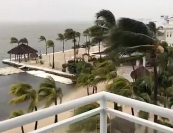 Palm trees sway as strong wind blows in Key Largo, Florida, U.S., September 9, 2017, in this still image taken from a video obtained from social media. Picture taken September 9, 2017. (Facebook/Laura Reuters)
