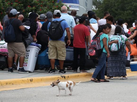 A dog stands near its owner while waiting to enter the Germain Arena that is serving as a pet-friendly shelter from the approaching Hurricane Irma on Sept. 9, 2017, in Estero, Fla. (Mark Wilson/Getty Images)
