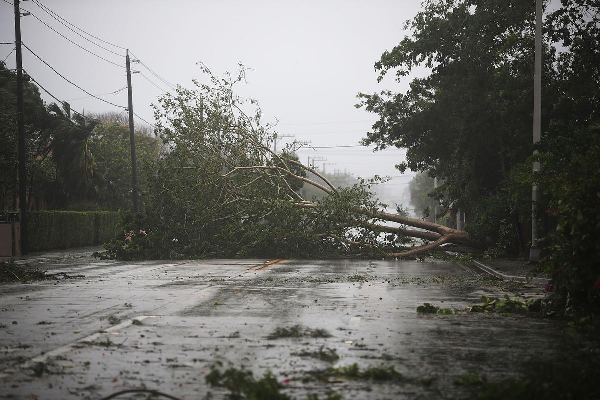 MIAMI, FL - SEPTEMBER 10: Trees and branches are seen after being knocked down by the high winds as hurricane Irma arrives in Miami, Florida on Sept. 10, 2017. (Photo by Joe Raedle/Getty Images)