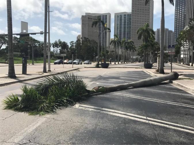 Downtown Miami on Sept. 11, 2017, after it was hit by Hurricane Irma. (The Epoch Times)