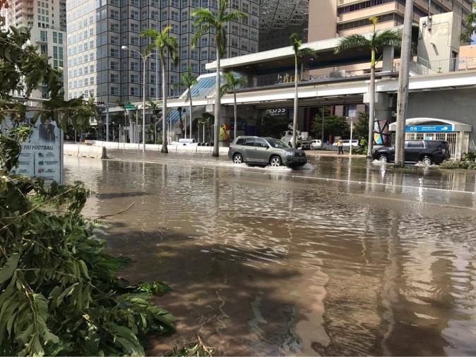  Downtown Miami on Sept. 11, 2017, after it was hit by Hurricane Irma. (The Epoch Times)