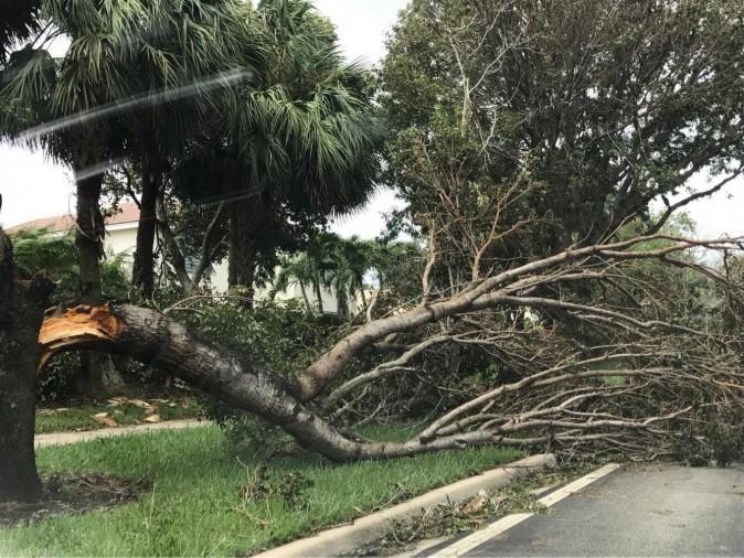 Downtown Miami on Sept. 11, 2017, after it was hit by Hurricane Irma. (The Epoch Times)