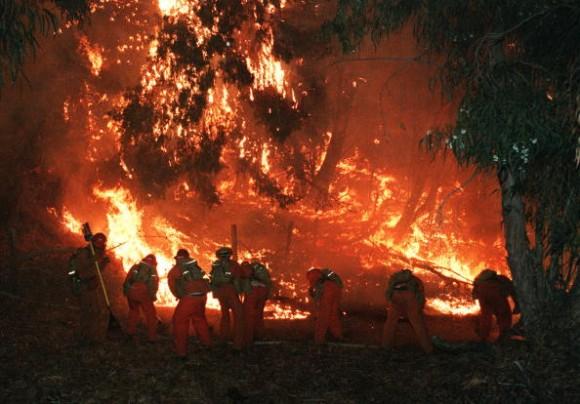 US Forest service firefighting crews fighting a forest fire above Malibu on Nov. 3, 1993. (HAL GARB/AFP/Getty Images)