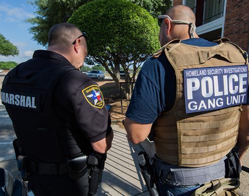 A nationwide gang operation netted 1,378 arrests in May. ICE's Homeland Security Investigations targeted gang members and associates involved in transnational criminal activity, including drug trafficking, weapons smuggling, human smuggling and sex trafficking, murder, and racketeering. (ICE)