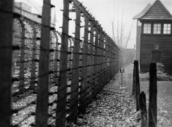 The perimeter fence of the Nazi concentration camp at Auschwitz, circa 1955: (Keystone/Getty Images)