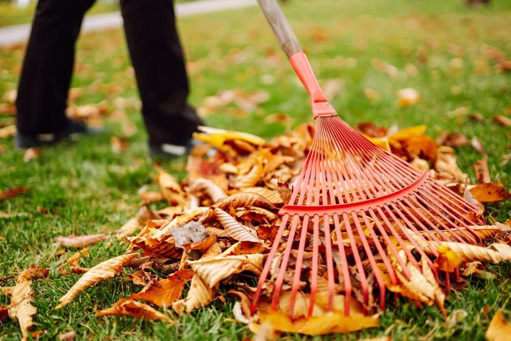 How to Properly Prepare Your Garden for Winter | The Epoch Times