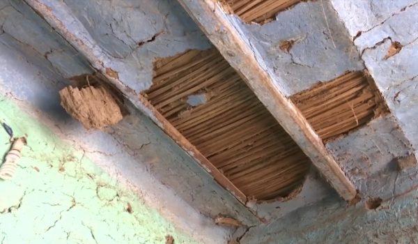 A ceiling with termite damage in the village of al-Aqalta, Egypt (Screenshot/AP)