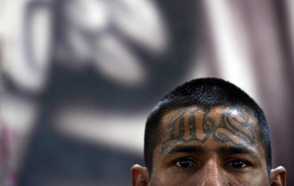 A member of the Mara Salvatrucha (MS-13) gang on March 4, 2013. AFP (Marvin Recinos/AFP/Getty Images)