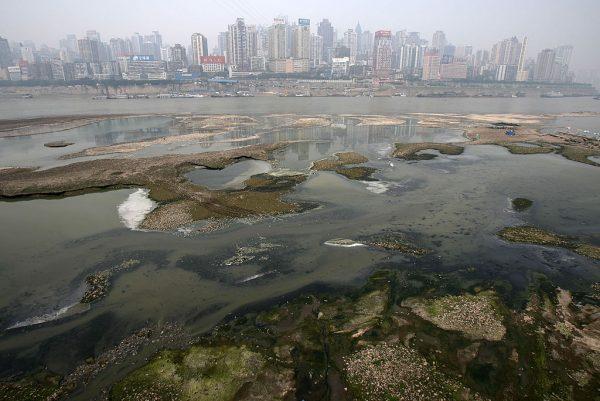 Polluted water on the Yangtze River is shown in Chongqing, China, on March 28, 2007. (China Photos/Getty Images)