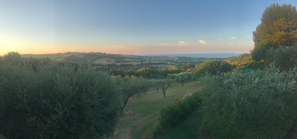 Medieval towns, vineyards, and olive groves, like this one at Villa Olivo in Civitanova, are always a short distance from the sea in Le Marche. (Courtesy of Villa Olivo)