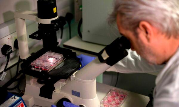 A doctor uses a microscope to look at bacteria containing coronavirus DNA fragments in a research lab at Imperial College School of Medicine (ICSM) in London, England, on Feb. 10, 2020. (Tolga Akmen/AFP via Getty Images)