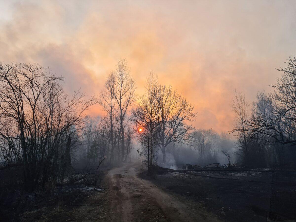 A forest fire burns near the Chernobyl exclusion zone, not far from the nuclear power plant, on April 5, 2020. (Yaroslav Emalianenko/AFP/Getty Images)