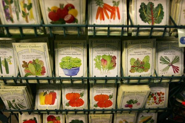 Vegetable seeds at a nursery where demand is rising in Pasadena, Calif., on April 30, 2008. (Photo by David McNew/Getty Images)