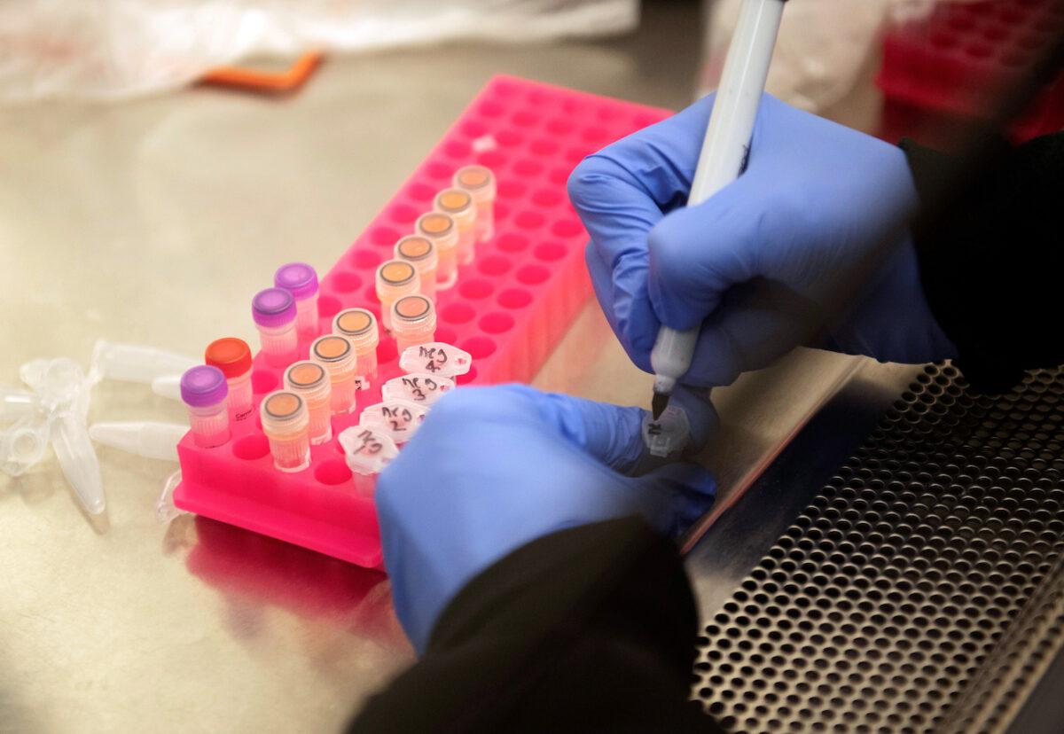 Researchers at the Microbiology Research Facility work with CCP virus samples as a trial begins to see whether hydroxychloroquine can prevent or reduce the severity of COVID-19, at the University of Minnesota in Minneapolis, on March 19, 2020. (Craig Lassig/Reuters)