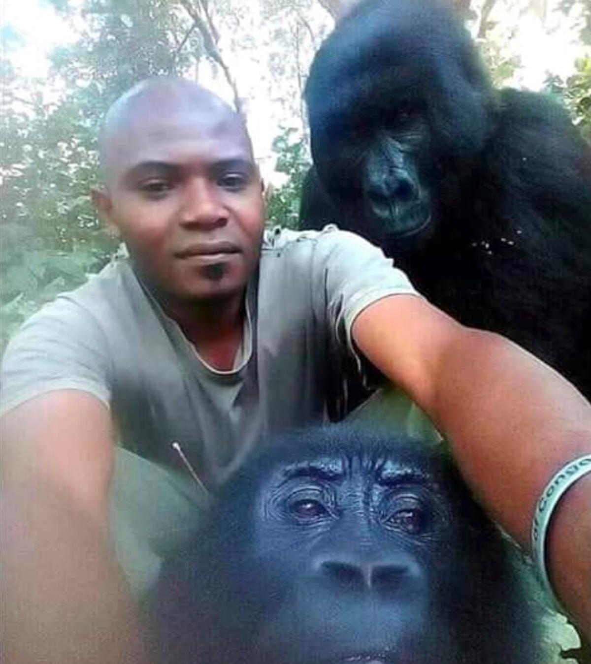Warden Patrick Sadiki Karabaranga taking a selfie with a pair of curious mountain gorillas. (Caters News)