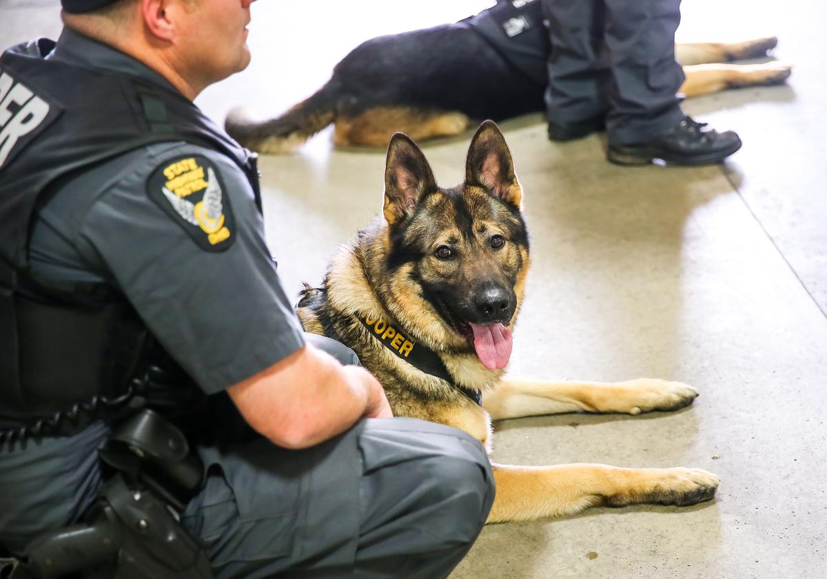 Brady Snakovsky has raised over $315,000 to provide bulletproof vests for police dogs. (Courtesy of Leah Tornabene)