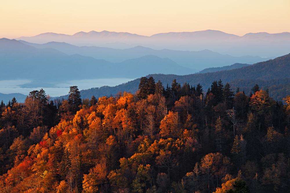 Sunrise in Great Smoky Mountains National Park. (Nickolay Khoroshkov/Shutterstock)