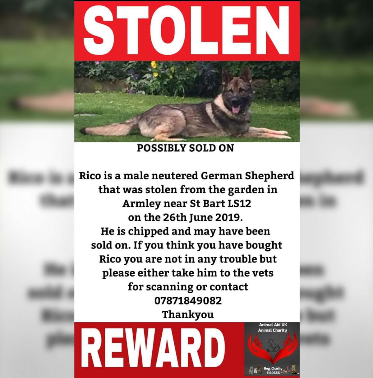 “We were out every day and night looking for him for months, we put posters up all over town to the point where everyone in the community knew we were looking for him but someone was taking them back down,” said Natasha. (Caters News)