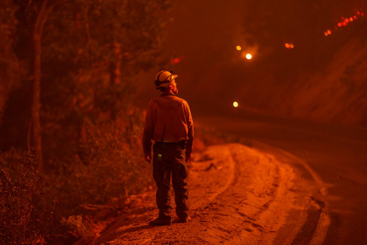 A firefighter watches flames advance along the Western Divide Highway during the SQF Complex Fires near Camp Nelson, California, on Sept. 14, 2020. (David McNew/Getty Images)