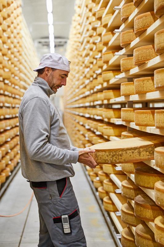 Le Gruyère AOP is one of 12 name-protected cheeses from Switzerland with the AOP (Appellation d’Origine Protégée) designation. Here, an affineur (cheese ager) ensures Gruyére is aging properly. (Courtesy of Gourmino)