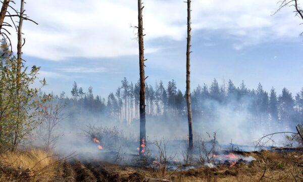 Fire burns in a forest in Luhansk region, Ukraine, in this handout picture released on Sept. 30, 2020. (State Emergency Service Of Ukraine/Handout via Reuters)