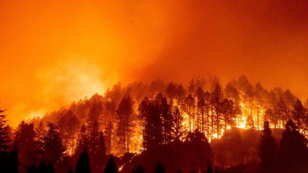 The Glass Fire burns a hillside above Silverado Trail in St. Helena, Calif., on Sept. 27, 2020. (Noah Berger/AP Photo)