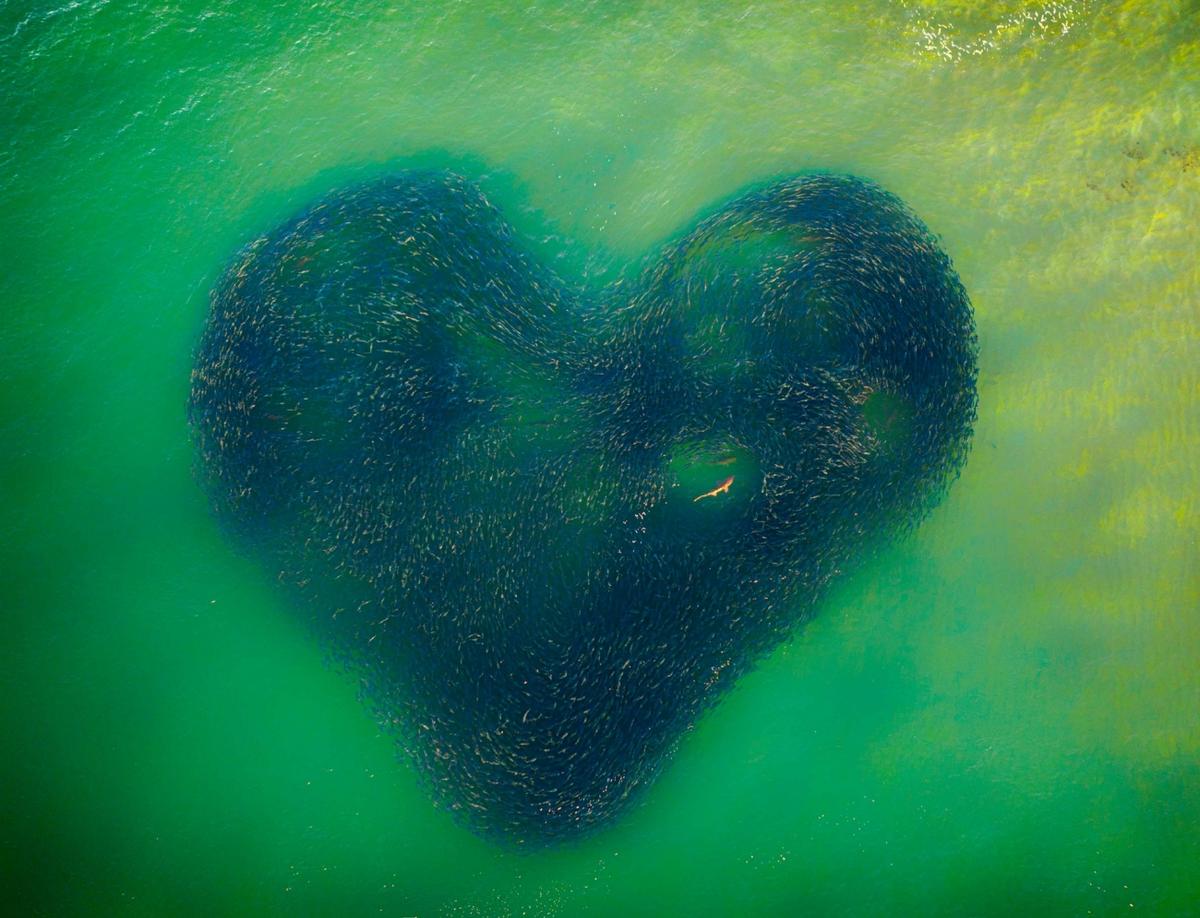 "Love Heart of Nature." (Courtesy ofJim Picôt)