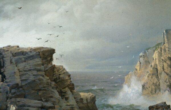 Detail of the birds and sea spray in “A Rocky Coast.” (Public Domain)
