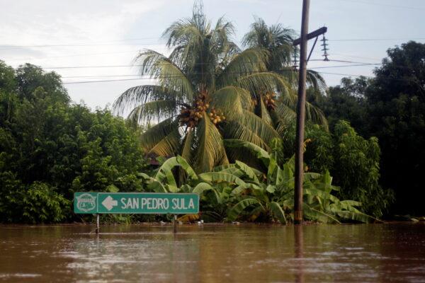 A sign is submersed on a road flooded by the Chamelecon River due to heavy rain caused by Storm Iota, in La Lima, Honduras November 19, 2020. (Jorge Cabrera/Reuters)