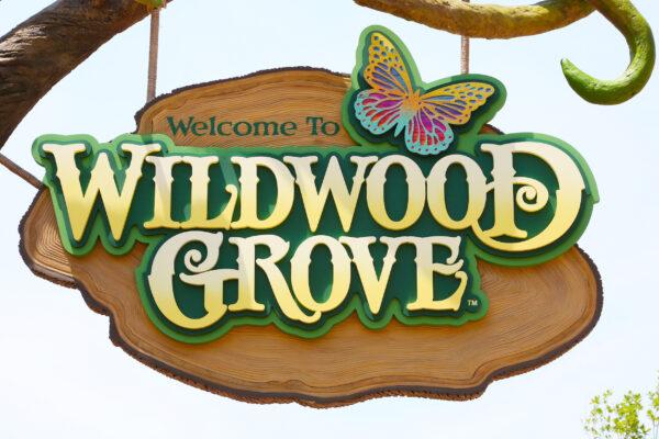 Wildwood Grove beckons with many rides. (Curtis Hilbun/Dollywood)