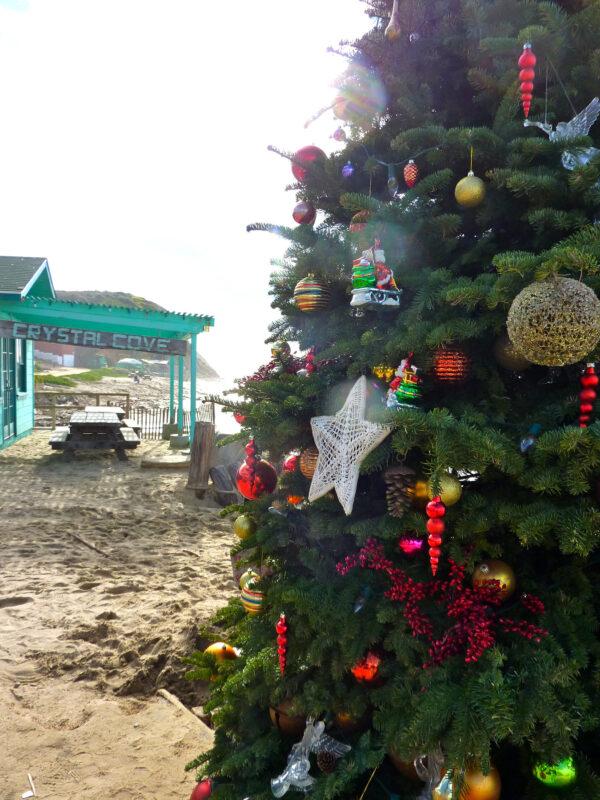 The holidays have arrived on the beach at Crystal Cove State Park in Orange County, Calif. (Jim Farber)